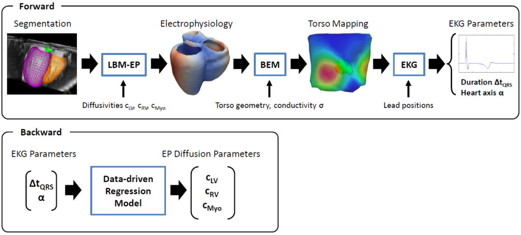 ECG-EP Workflow